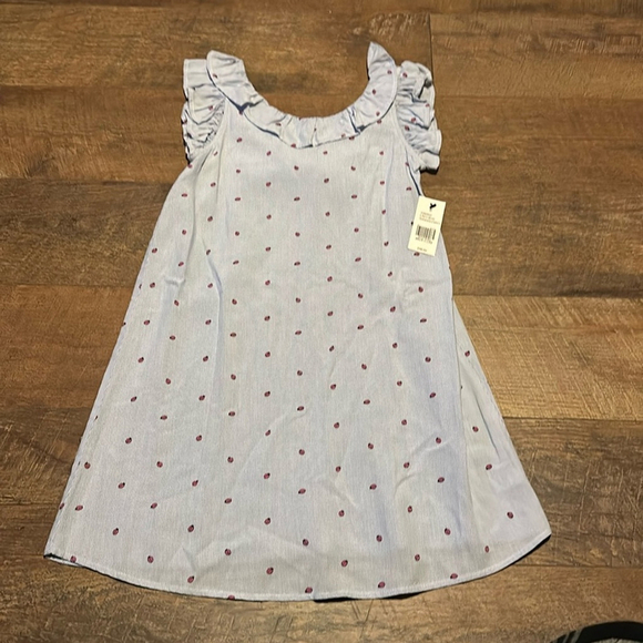 Crown & Ivy Women’s size 8 sleeveless blouse top Ladybug pink blue/white - Picture 1 of 8